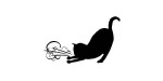 Asthmatic Kitty Records