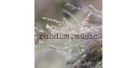 rundum.music