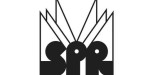 Sister Polygon Records