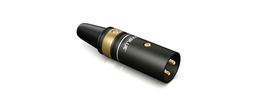 XLR Stecker