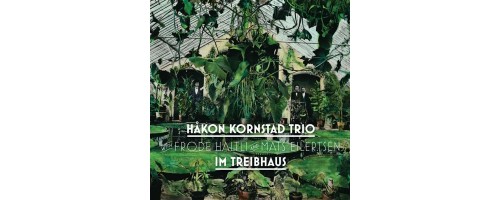 KORNSTAD TRIO HAKON - Im Treibhaus
