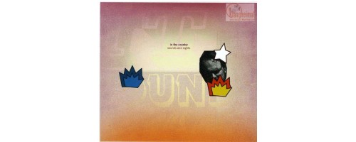 IN THE COUNTRY - Sounds And Sights (2LP/DVD)