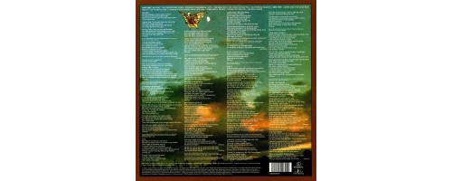 BUSH KATE -The Kick Inside (180g)