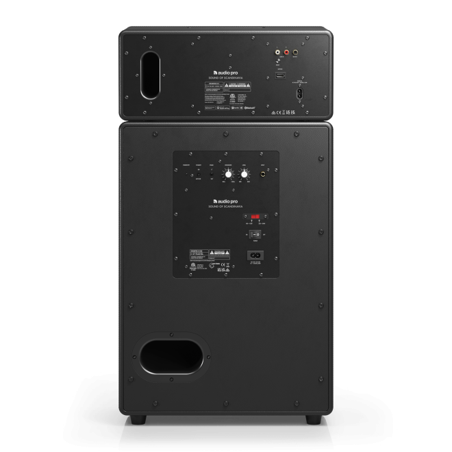 Drumfire II - schwarz - zweiteiliger Multiroom Lautsprecher - Audio Pro