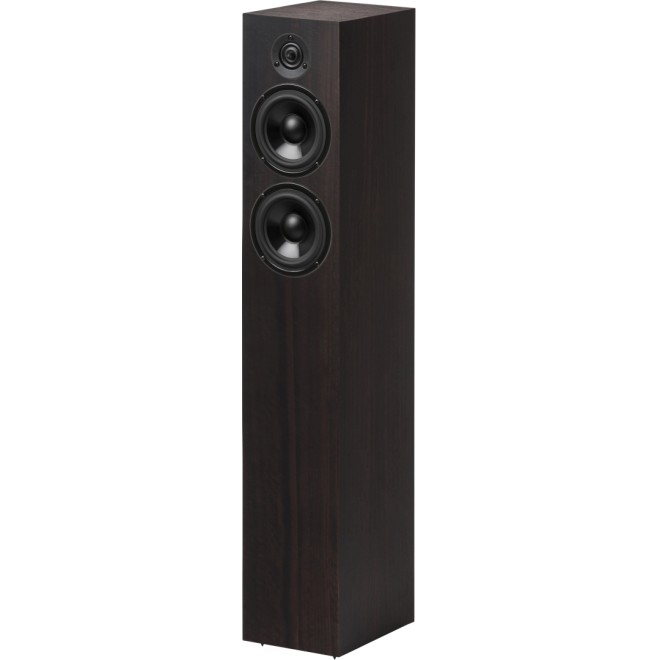 SPEAKER BOX 10 DS2- Floorstanding loudspeaker - Eucalyptus veneered - Pro-Ject
