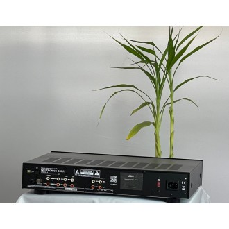 XP1000se - Preamplificatore a transistor - AMC