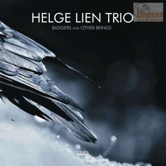 LIEN HELGE TRIO - Badgers And Other Beings (180g)