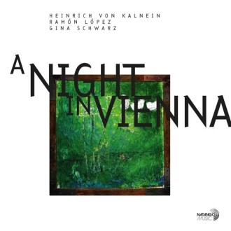 VON KALNEIN HEINRICH, RAMÓN LÓPEZ & GINA SCHWARZ - A Night In Vienna