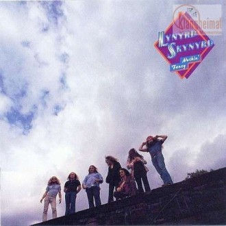 LYNYRD SKYNYRD - Nuthin` Fancy (2LP/200g/45rpm)