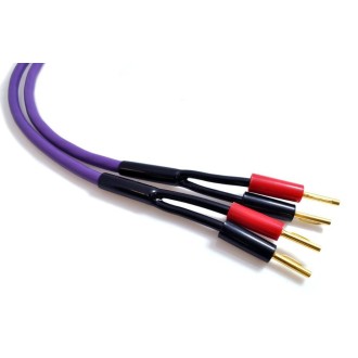 Kabel głośnikowy MDSC
