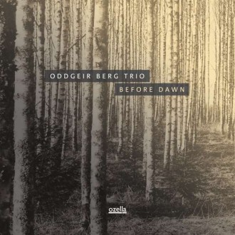 ODDGEIR BERG TRIO -Before Dawn (180g)