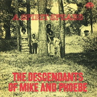 DESCENDANTS OF MIKE & PHOEBE THE - A Spirit Speaks (180g)