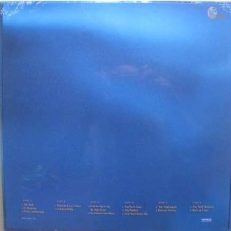 WARNES JENNIFER - The Well (180g/45rpm/3LP)