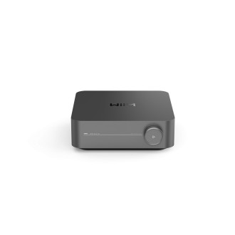 WiiM Amp Pro - Verstärker - Streamer-Verstärker - grau - WiiM