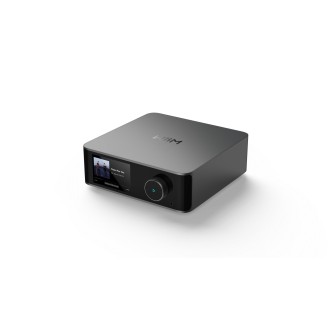 WiiM Ultra - Wireless High-Res Audio Streamer - silber - WiiM