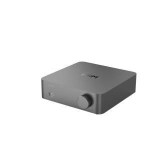 WiiM VibeLink Amp - Verstärker - Streamer-Verstärker - Space grau - WiiM