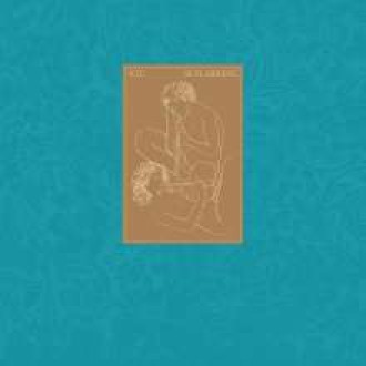 XTC - Skylarking (200g)