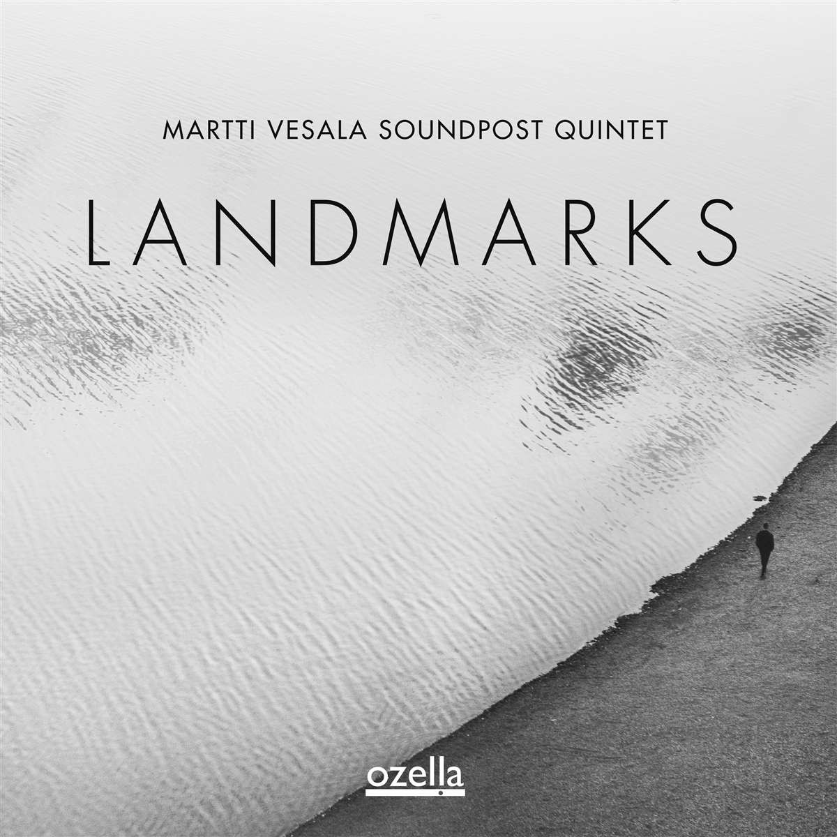 MARTTI VESALA SOUNDPOST QUINTET - Landmarks (180g)